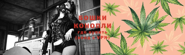 прущий лед Вязьма