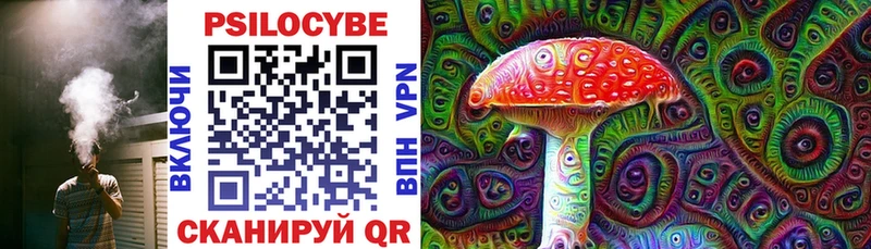 Псилоцибиновые грибы Psilocybe  mega tor  Пласт  дарнет шоп 