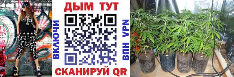 blacksprut   Пласт  Каннабис LSD WEED 
